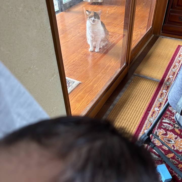 33e22c0a d9d4 4171 9176 8bc8789599c0 1753588553953