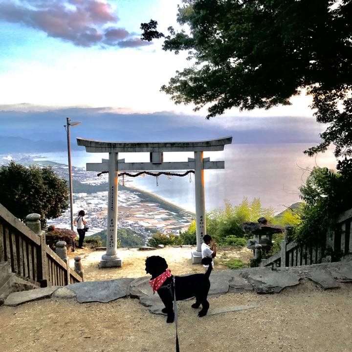 33e24da0 b069 41b5 8f24 e9f8f45e7f6c 1534681737596