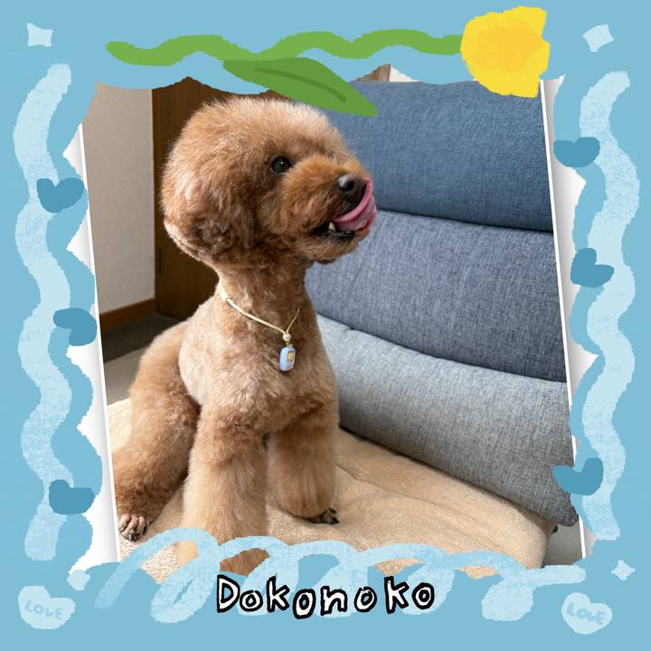 33e25d15 d075 4ebd 987d 7c19c609438b 1772362382889