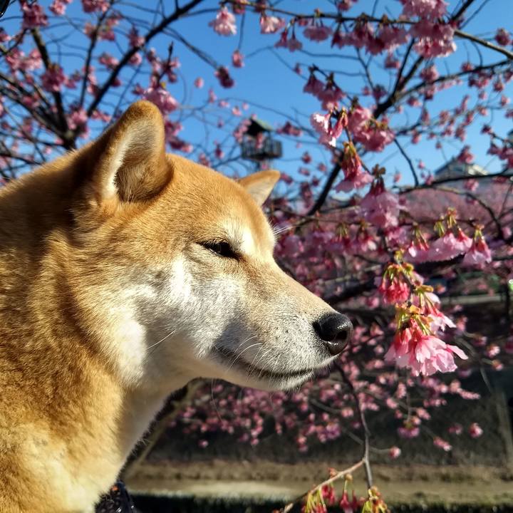 33e27150 a9a7 4250 a56b 77203372a1cd 1552045913794