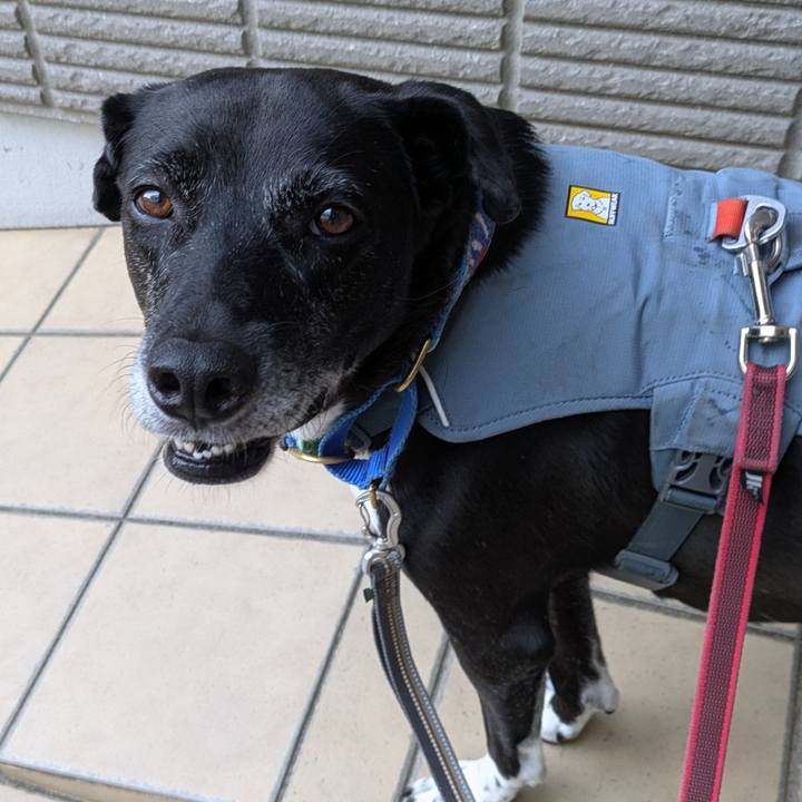 33e29ed1 2b1e 4291 b759 140ddcd11ef6 1726097815270