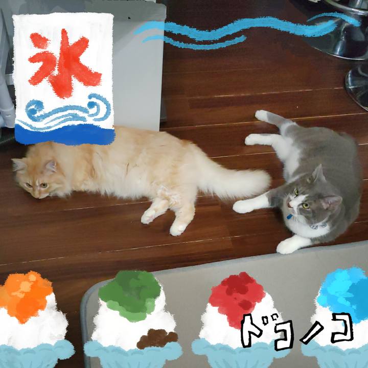 33e2a29b 52ef 4437 a2bb f9c239d03afe 1723178787543