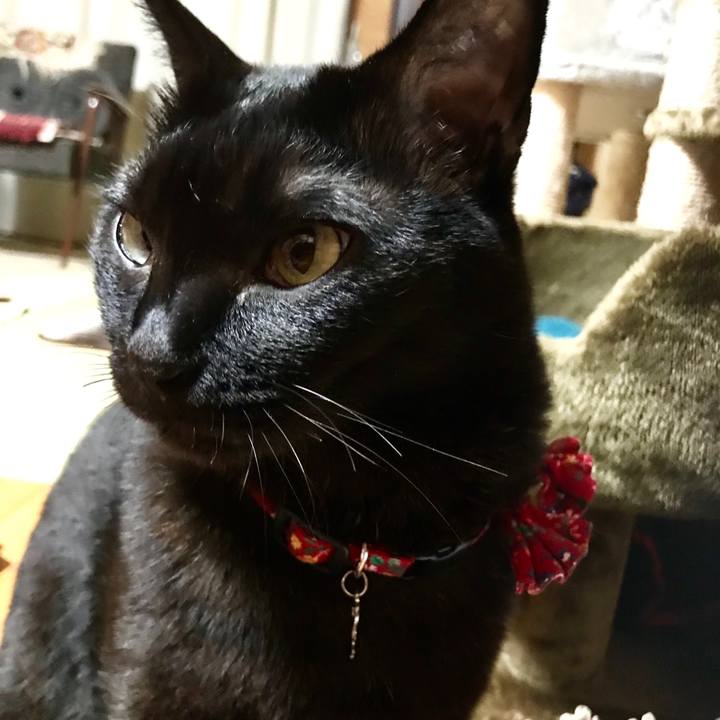 33e2a596 a021 4cd2 92ea 823501baf3b3 1544877088463