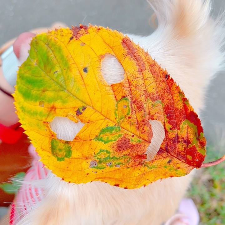 33e2d67f 04da 4c06 861c f52f1bfe21e1 1631694776094