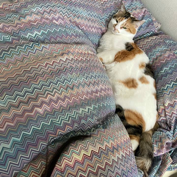 33e2d9cd 5604 4a52 9488 7d17e7bc9e67 1618792118359