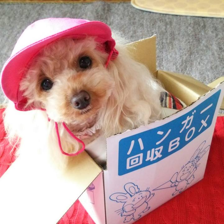 33e2ee9c 2962 42c1 bdf7 fea91836c78b 1515568666458