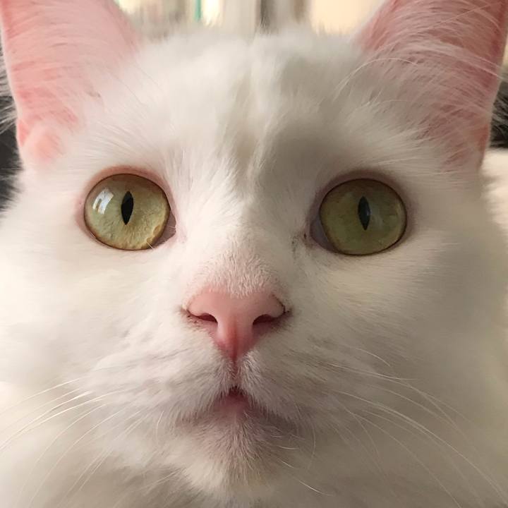 33e3c656 e56a 4583 bf7d 0571dbb10452 1557574154612