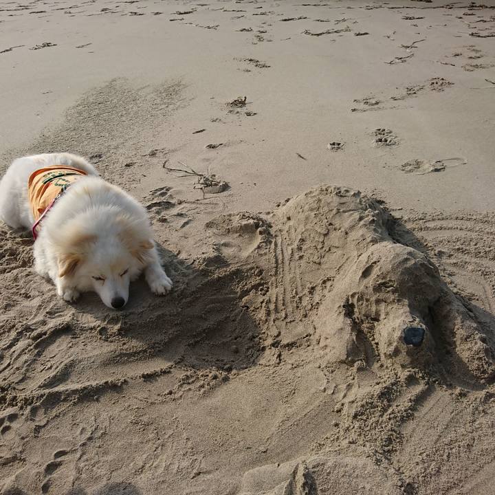 33e3d89b 1f10 42e4 8311 7b06d2caedf4 1531811572283