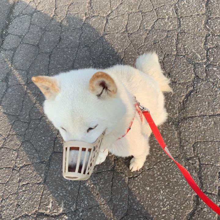 33e3e415 953c 4632 a2db 62f18d33ec4a 1560981145983