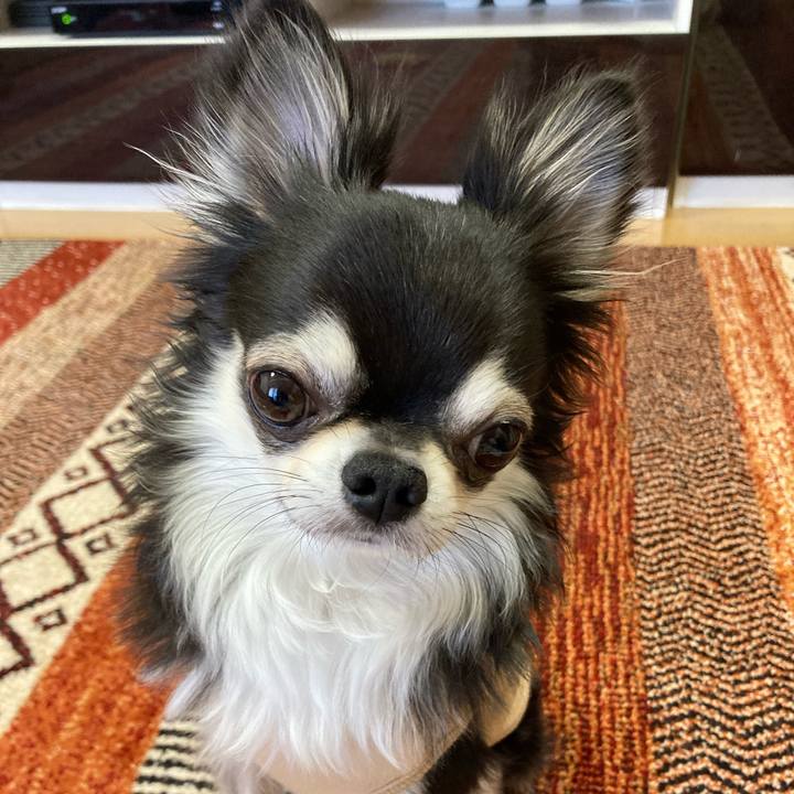 33e3e42f bec6 471f b6a1 a317a35ed912 1677337217729