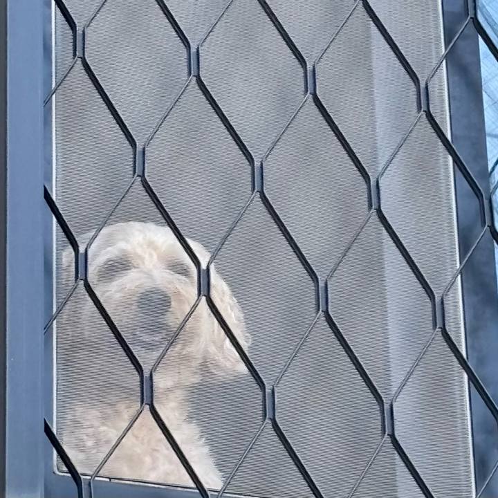 33e42b9c b164 41ca 8257 bad43277e616 1759816683412