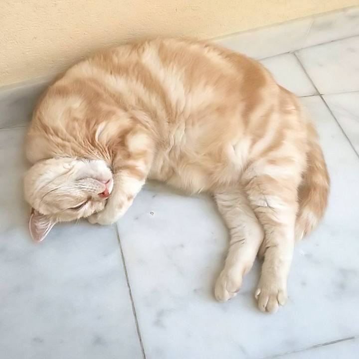 33e450a9 7d9b 4acb aa77 4ee47f7ceace 1597991296516