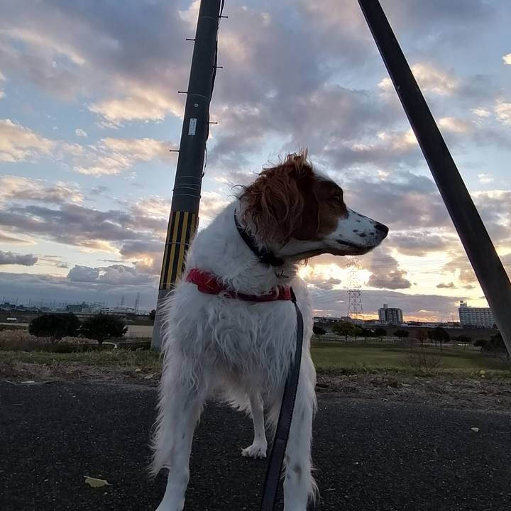 33e454c2 48ce 46e8 8bd0 6cb7dae520fd 1575373380922