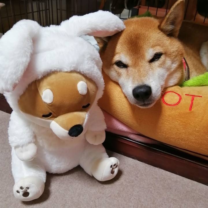 33e4b643 982d 4901 a86f d9a987f84b76 1670581408264