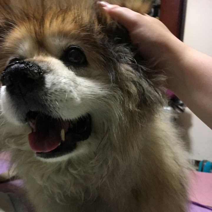 33e4dd44 e4f5 4cd9 bb1b 442933b3ebb8 1563750675869