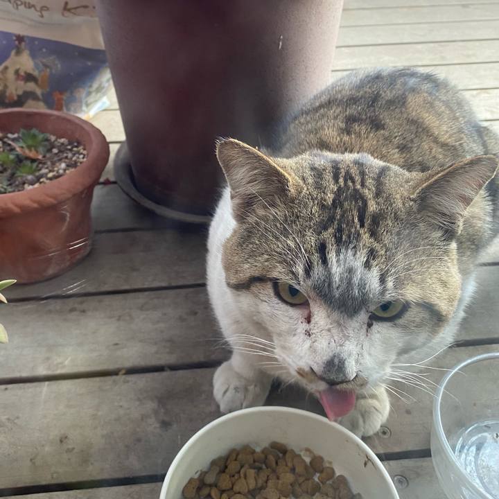 33e55f41 940b 4c33 aea4 34e95c6e2b31 1613463814167