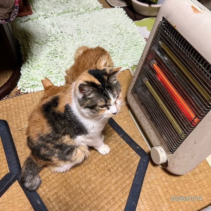 33e5b37c a497 4c50 a9e3 e1315930eece 1768342039438