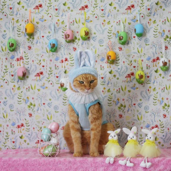 33e5b98d 832a 4bb3 bc90 e864c60a9353 1680618690669