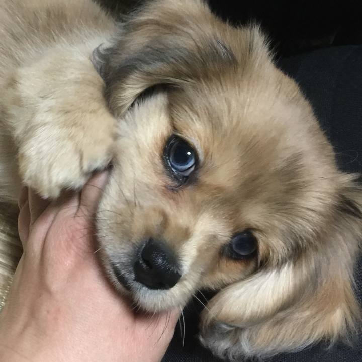 33e5c9ff 68aa 4cbc b843 ddea6b9bd259 1648762397489