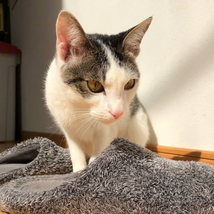 33e5e532 f387 4033 94a1 46a79fa6878e 1582519185604