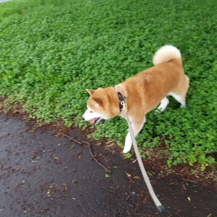 33e60204 0288 4214 b250 975fe31b1cd8 1621576484572