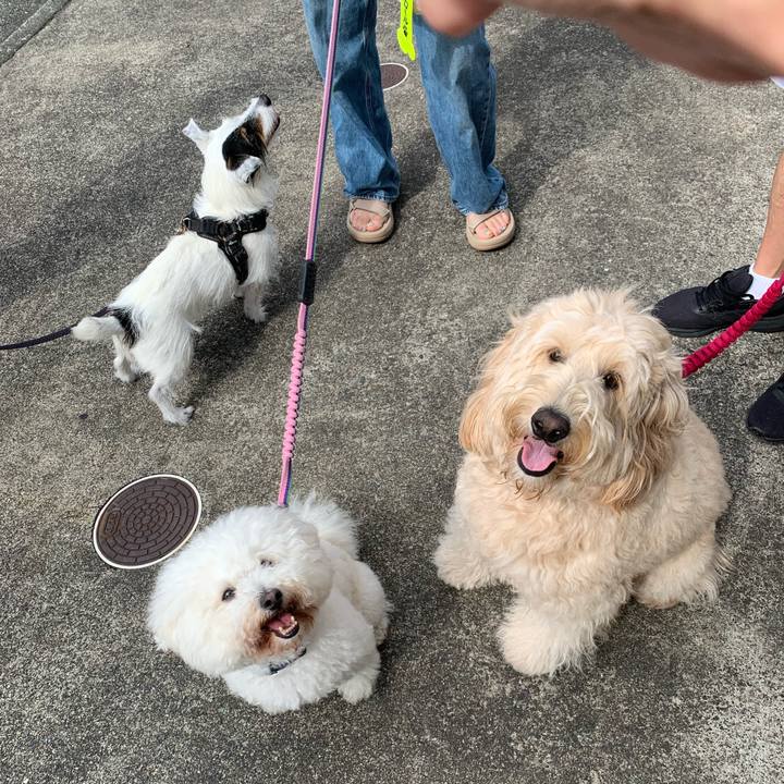 33e60246 567f 43d3 a752 28f04931c90f 1719445544161