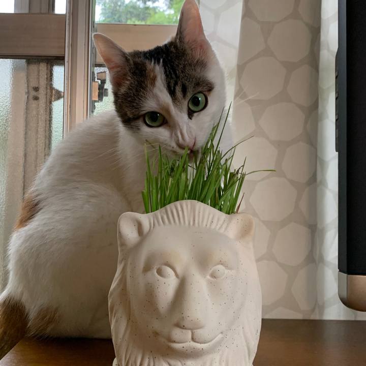 33e61c84 3db3 4158 9fcc b0b61261c778 1621499127512