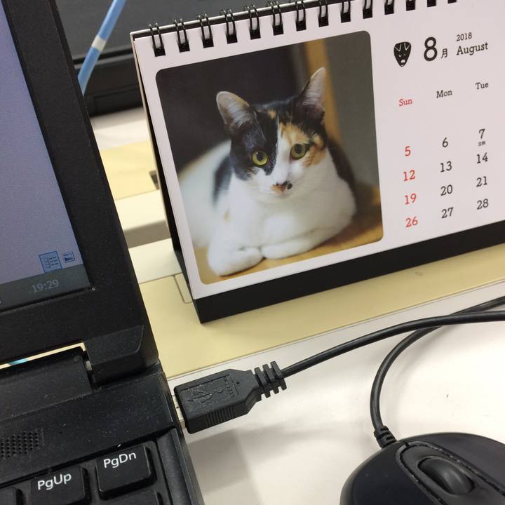 33e636f3 d6d6 46a2 bf97 72157beab4a7 1533120272085