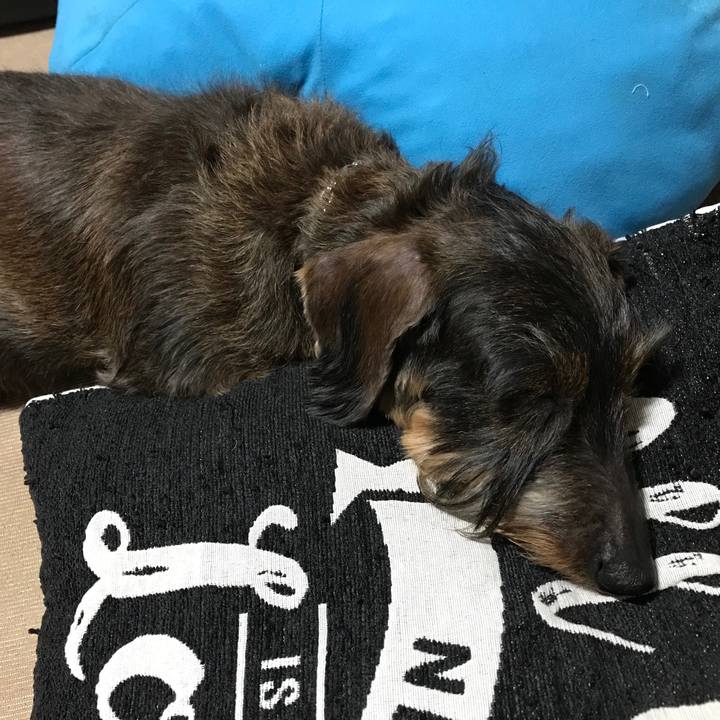 33e63cb0 4602 48fc 96fb 7b067a787082 1519047810799