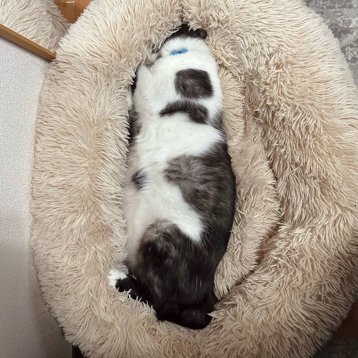 33e66e4c cc80 41bf 897a 69e4b224af69 1775783152828