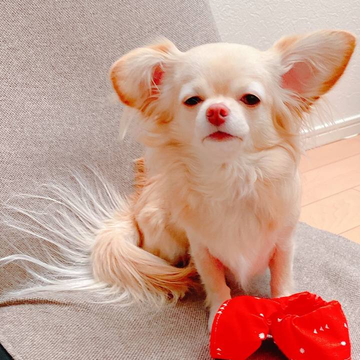 33e6a9d4 d7c6 45d2 8154 33fdce5e982f 1644480095171