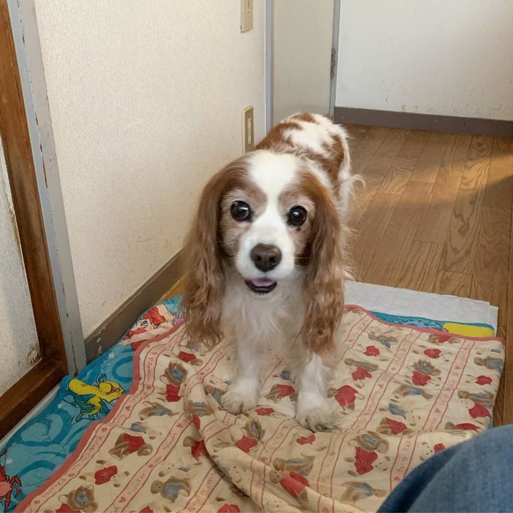 33e6b035 8e32 4e8b 9e1a 467d2a749888 1615365247676