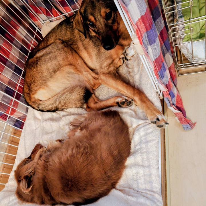 33e6c69b d7e7 46e3 856f 0553a457f9a1 1760505892944