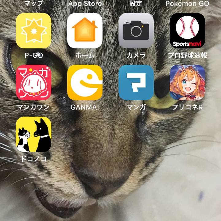 33e6d39d 6a3d 4fa9 9cfd 3afcea34a1b4 1541501508962