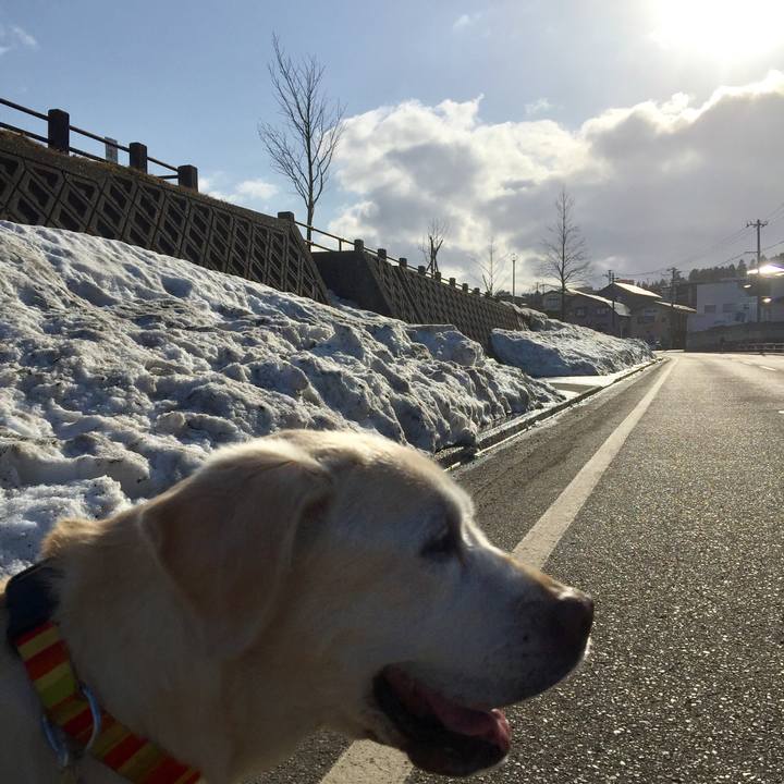 33e6df7a 7c93 4d00 af5d 86b8c44253a7 1521529773172