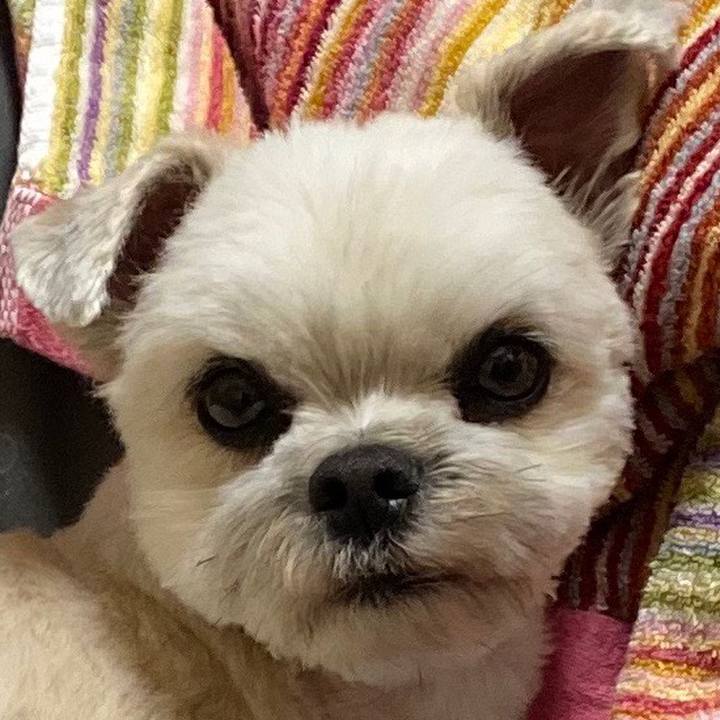 33e6e7ec d5cb 4647 b030 770f6e97a701 1587476015237