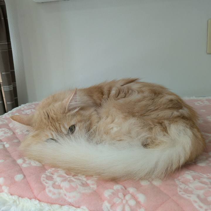 33e71c6f d4e3 4f29 9d8b af0d95ade586 1729126187198