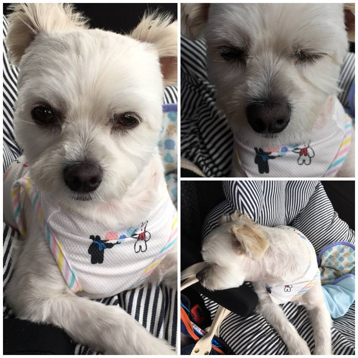 33e73943 7422 435e b973 c209902294c3 1537584088155