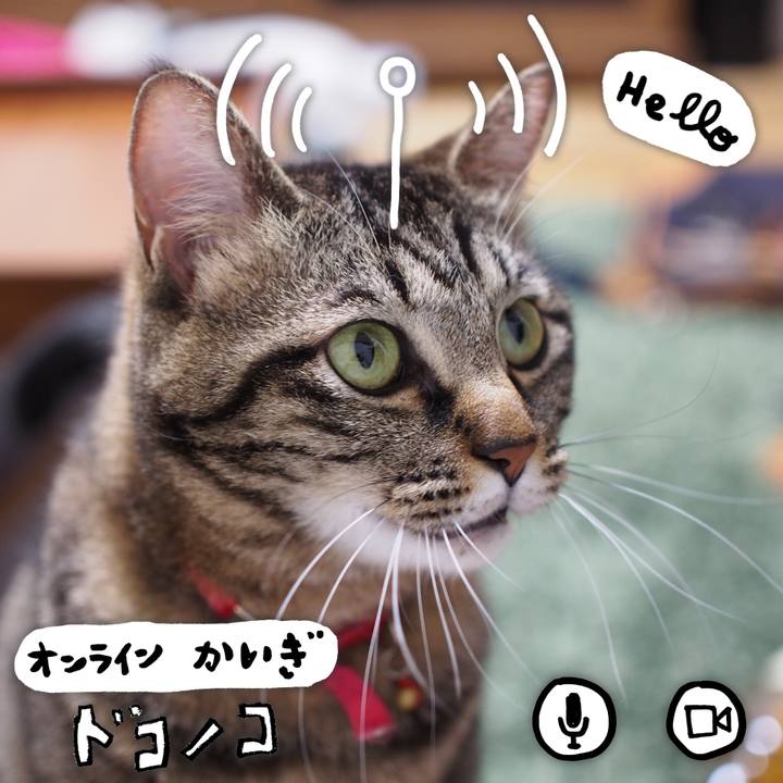 33e745c0 89c8 41fb ad5c 7fdfbe61b7a8 1590929564101