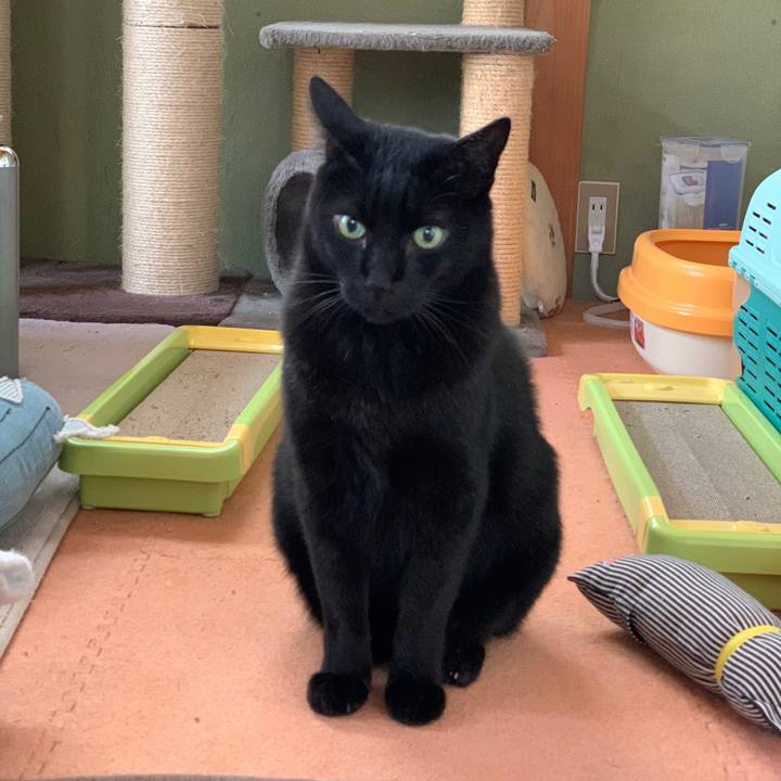 33e77687 402f 449d bbe9 12617a0b9617 1575594002893