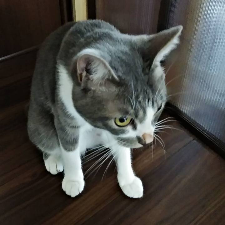 33e78648 39ef 484f 9e5f 015b4ea1f3c6 1595717523003