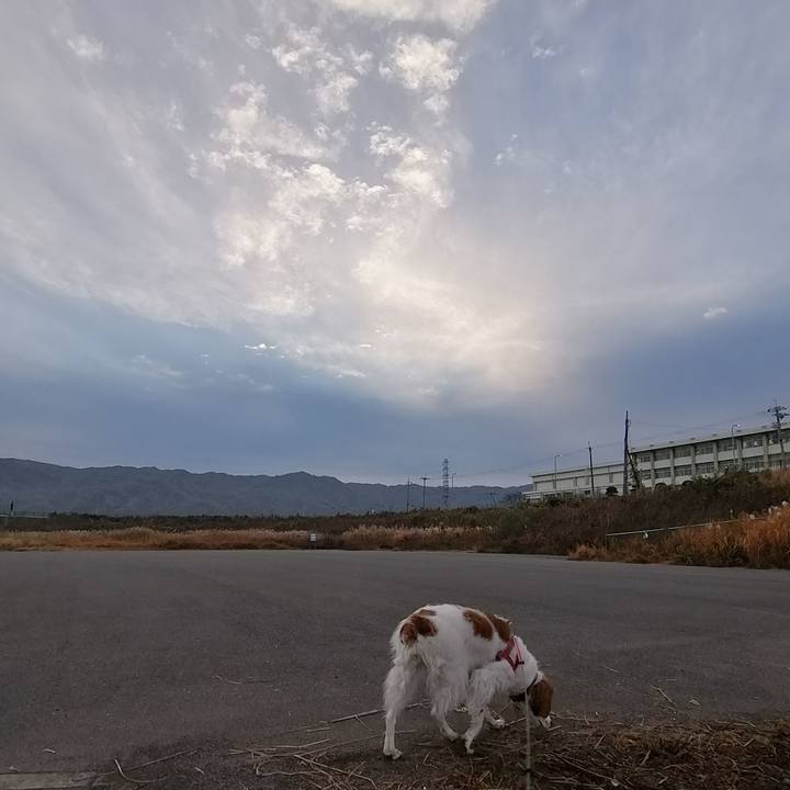 33e7b370 b9bb 4fab af5b 55e1ab2f8dc9 1607481174495