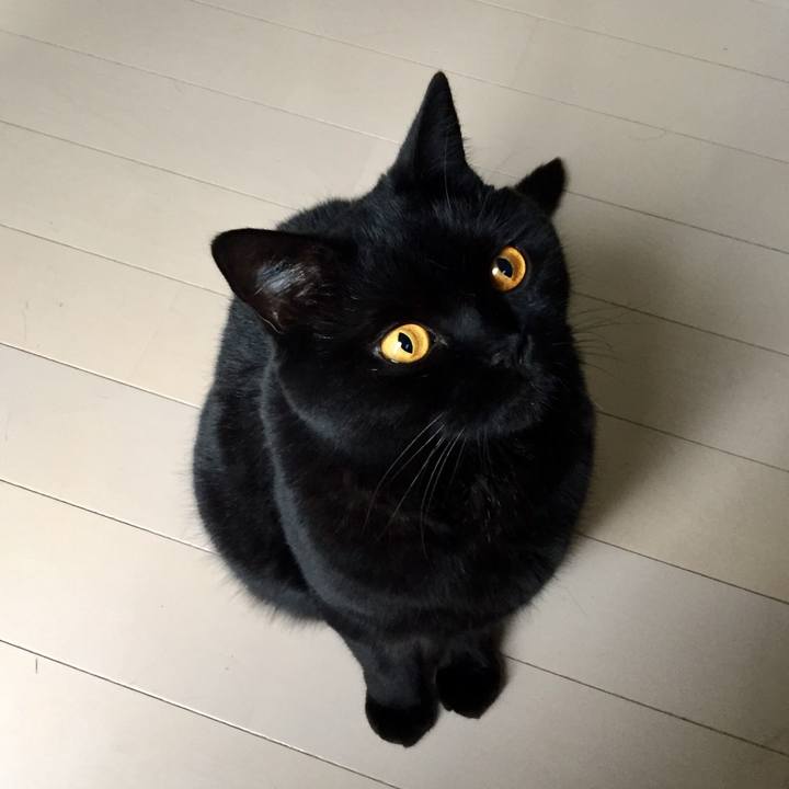 33e7b644 ac3e 4fce 9a42 90769c220203 1564016551862