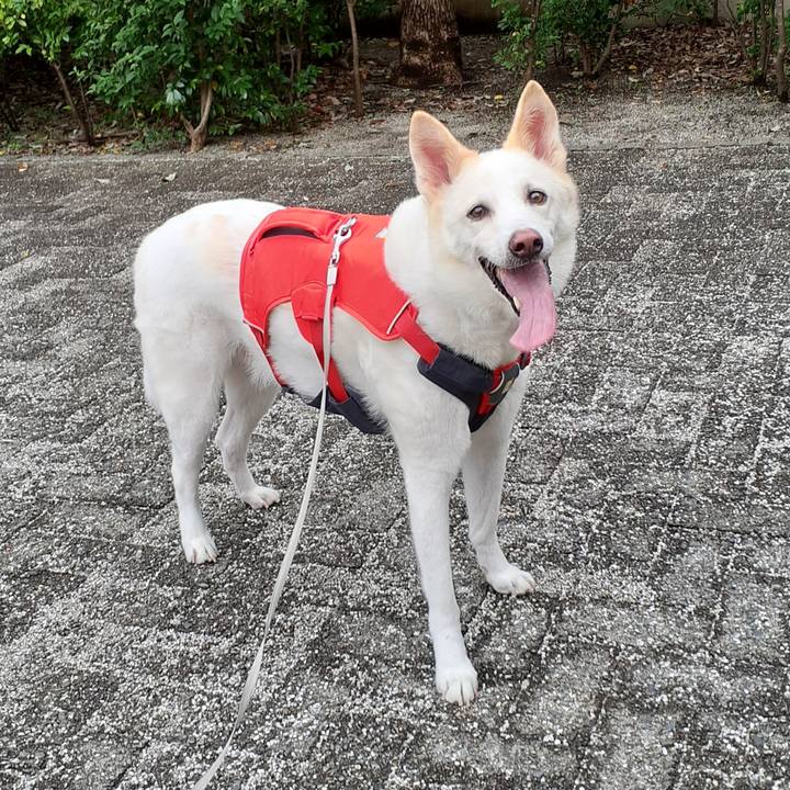 33e7da05 2c9e 43f5 a806 d58efd2161f1 1762002788463