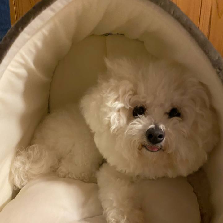 33e7fa6c 66e9 48cc b81c 294f996860d8 1665311462753