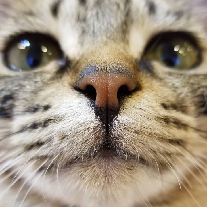 33e80acc c8ff 49ee 9cf8 c4952fc7be1a 1550479430892