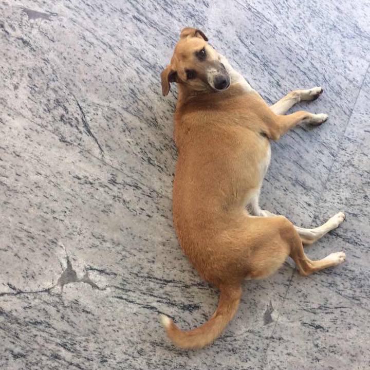 33e829bb 9293 44db 8cbe d59f1b167fb8 1521675243004