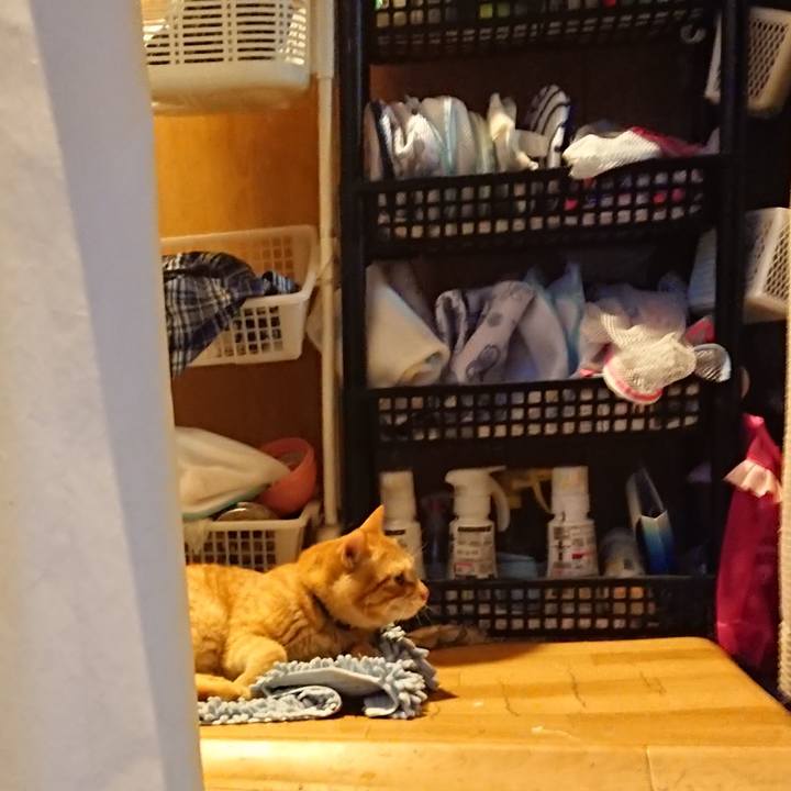 33e848af acf4 4935 910e 8877b4ad2932 1659606805313