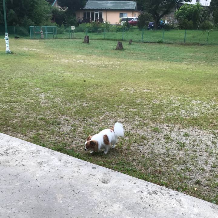 33e8a890 83c0 413e 9151 ecdfbc1dc225 1566302752695