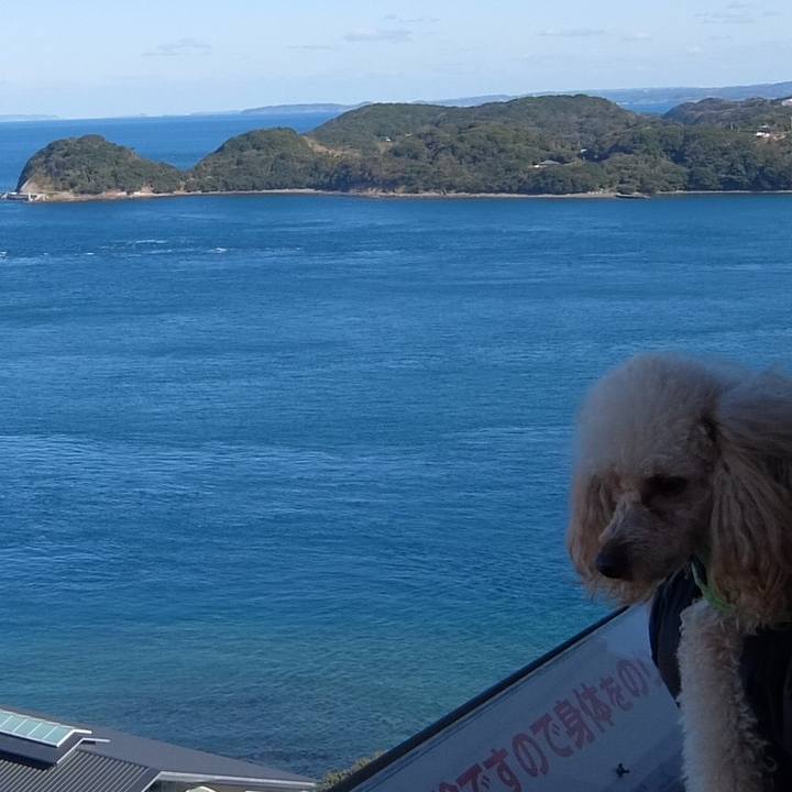 33e8af8b db5e 42bd 80db 2bd8ad8d310b 1515247528732